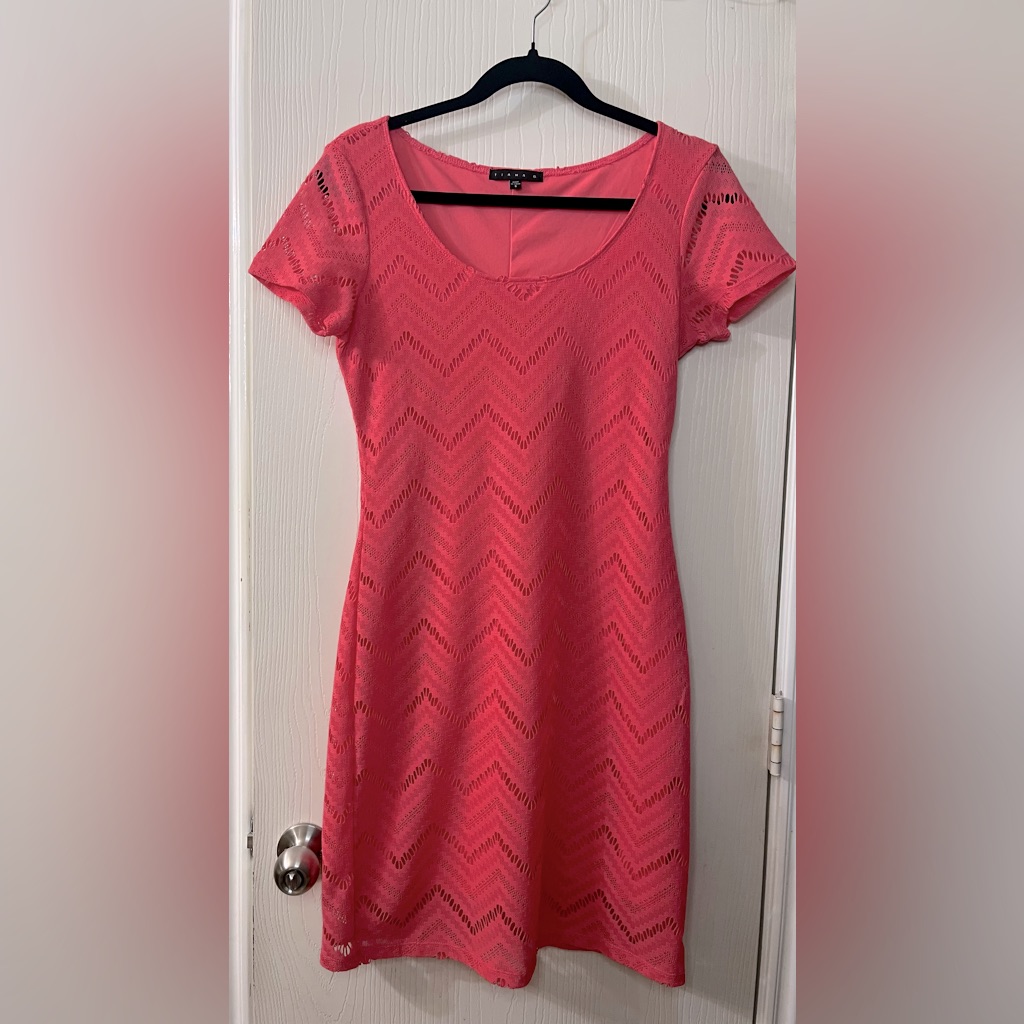 Tiana B. Small Pink/Coral Dress